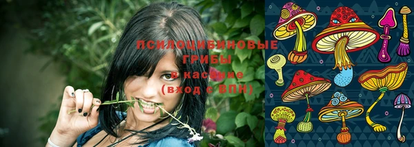 меф Протвино